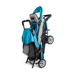 PFAM45591