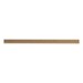 1" Map Rail - Single Pack (8' L)
