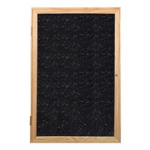 Enclosed Rubber-Tak Tackboard w/ One Door & Oak Frame