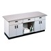 All-Purpose Treatment Table w/ Two Cabinets