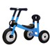 Pilot Series Walker Trike - Single