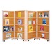 Mobile Library Bookcase