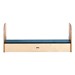 iRise Interactive Whiteboard Step - Standard