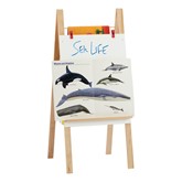 Teachers' Easel