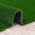GreenSpace Rug - Jellybean (9' x 12')