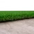 GreenSpace Rug - Jellybean (9' x 12')