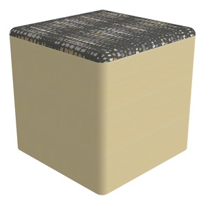 PFAM53869