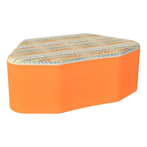 PFAM53879