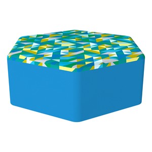 PFAM53880