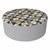 PFAM56036