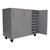 PFAM79807