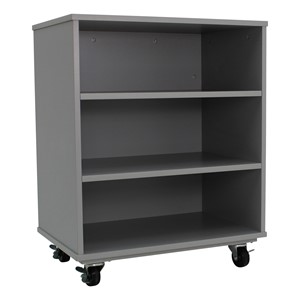 PFAM79813