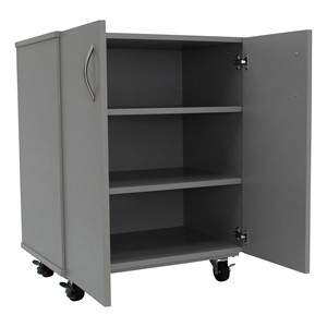 PFAM79813
