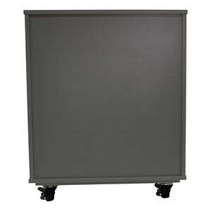 PFAM79813