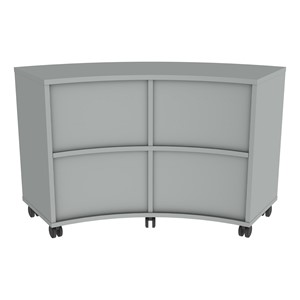 PFAM52825