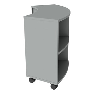 PFAM52825