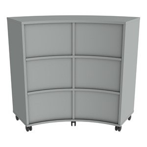 PFAM52825