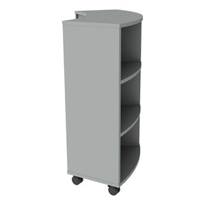 PFAM52825