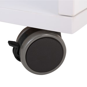 PFAM52825
