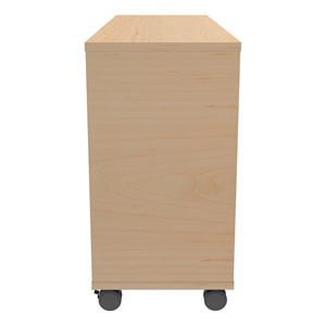 PFAM71823