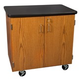 Mobile Lab Storage