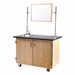 Mobile Science Cart w/ Shelving & Whiteboard/Mirror & Sink