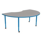 Accent Series Kidney Activity Table