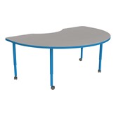 Accent Series Kidney Activity Table