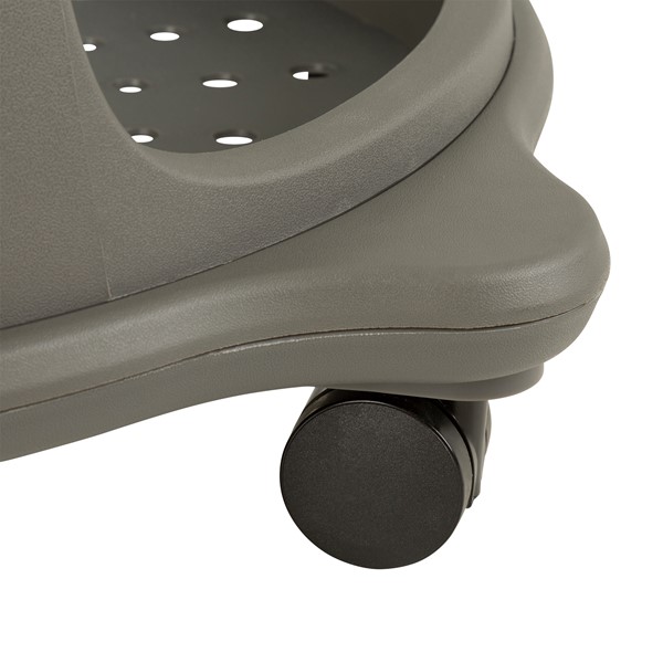 PFAM70883