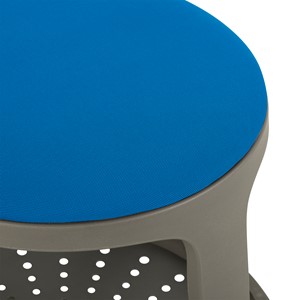 PFAM70883
