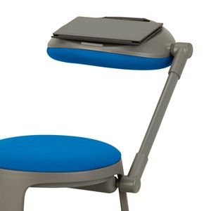 PFAM70883