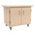 Mobile Project Support Cart