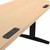 Pneumatic Height-Adjustable Sit-to-Stand Training Table w/ Electric - 2 Electric Units