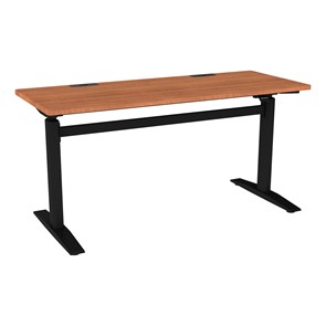 Pneumatic Height Adjustable Sit-to-Stand Training Table