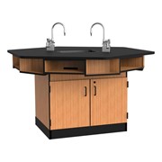 Six-Person Science Workstation w/ Phenolic Top, Epoxy Sink & Gas Fixtures