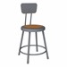 Metal Lab Stool w/ Backrest Graphite - Fixed Height (18")