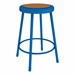 Metal Lab Stool - Fixed Height (24" H)