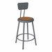 Metal Lab Stool w/ Backrest Graphite - Fixed Height (24" H)