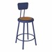 Metal Lab Stool w/ Backrest Navy - Fixed Height (24" H)