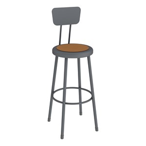 Metal Lab Stool w/ Backrest Graphite - Fixed Height (30" H)