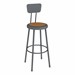 Metal Lab Stool w/ Backrest Graphite - Fixed Height (30" H)