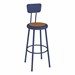 Metal Lab Stool w/ Backrest Navy - Fixed Height (30" H)