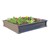 Raised Garden Bed (Two Beds w/ One Frost Cover)