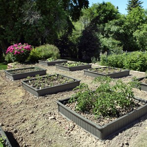 Raised Garden Bed (One Bed w/o Frost Cover)