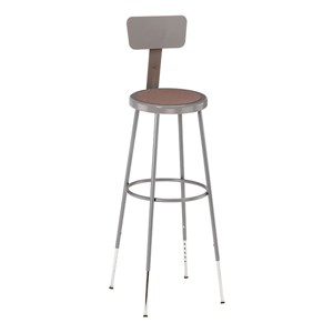 6200 Stool w/ Backrest - Adjustable Height (31" - 39" H)