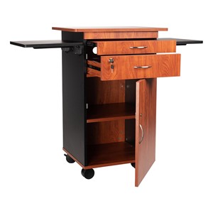 Multimedia Cart - Open