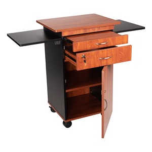 Multimedia Cart