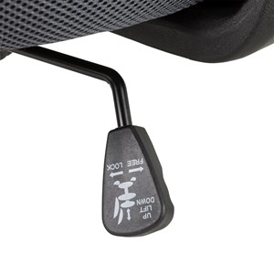 PFAM40125