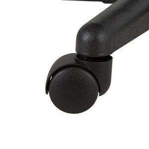 PFAM40125