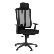 Premium High Back Ergonomic Office Chair